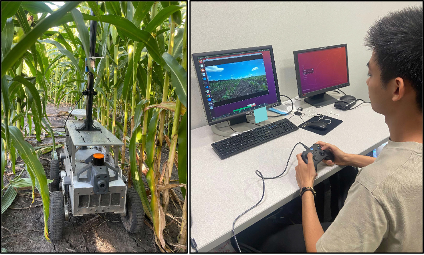 The TerraSentia+ robot in dense growth and an example of a remote teleoperation setup